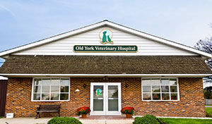 Picture of the Old York Veterinary building.