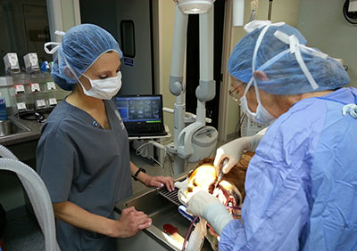 Picture of a dog getting its' teeth cleaned